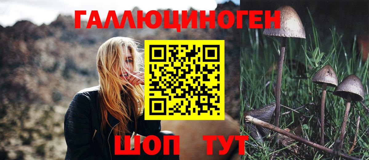 Псилоцибиновые грибы Magic Shrooms Саяногорск