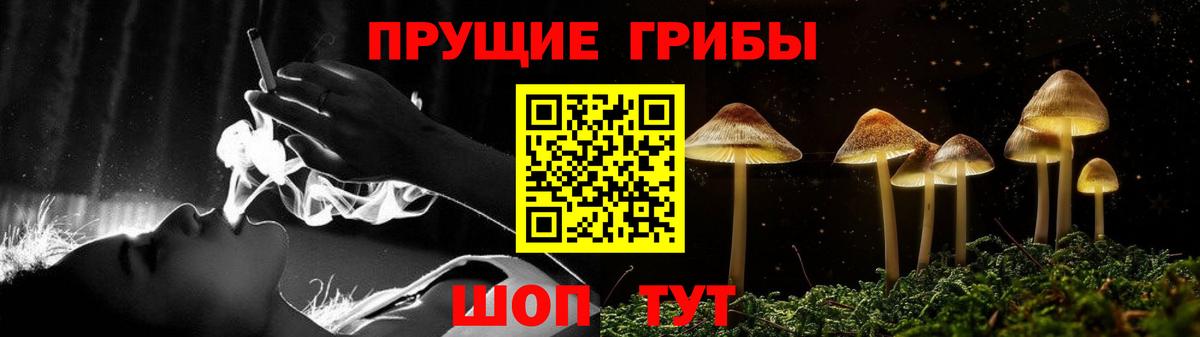 Саяногорск  Галлюциногенные грибы мухоморы  Вход с VPN 